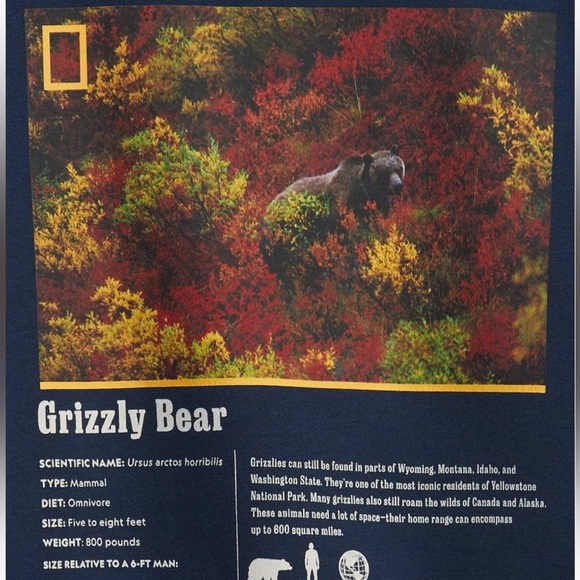 Gap National Geographic Grizzly Bear Crewneck Kids Sweatshirt Size L - Picture 2 of 9